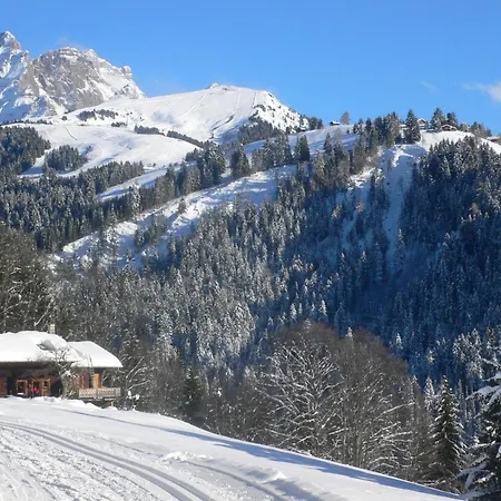 Appartamento Bristol 11 By Interhome Villars-sur-Ollon