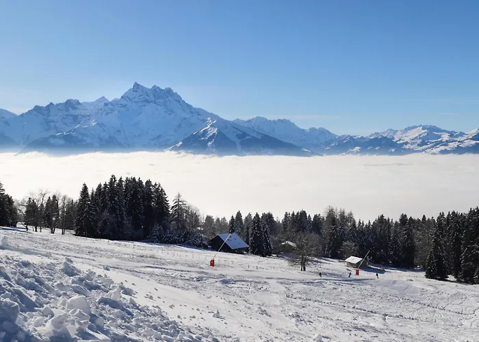 Bristol 11 By Interhome